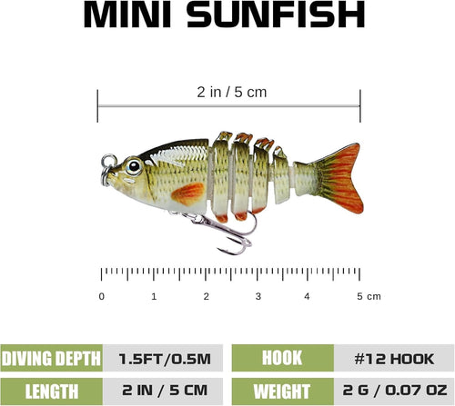 🎣 2