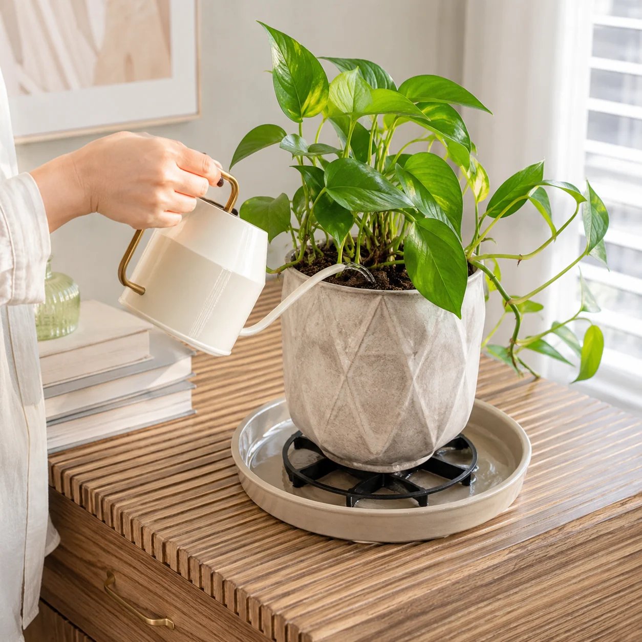 🪴3PCS Root-Saving Raised Pot Stand – Better Airflow, Faster Drainage & Cleaner Floors