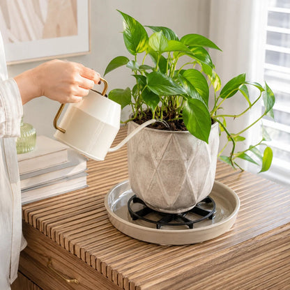 🪴3PCS Root-Saving Raised Pot Stand – Better Airflow, Faster Drainage & Cleaner Floors