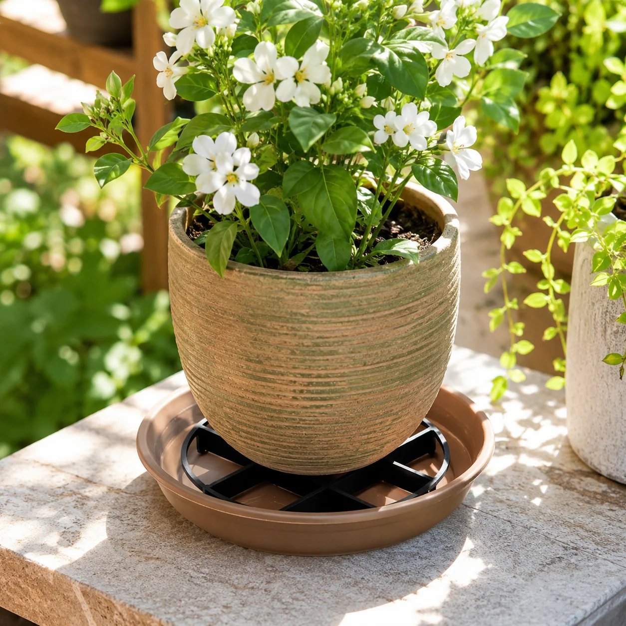 🪴3PCS Root-Saving Raised Pot Stand – Better Airflow, Faster Drainage & Cleaner Floors