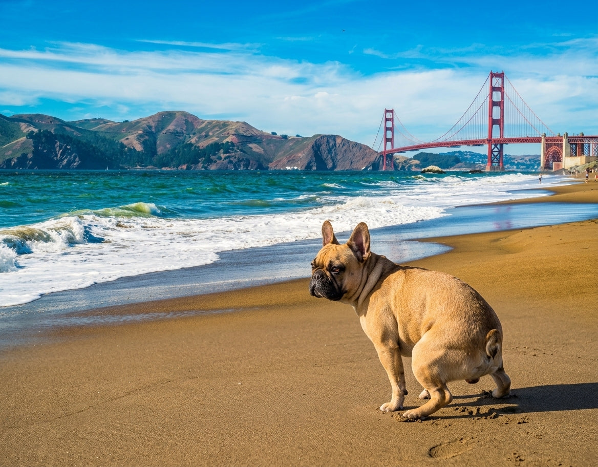 2027 Dogs Pooping in Beautiful Places Funny Wall Calendar