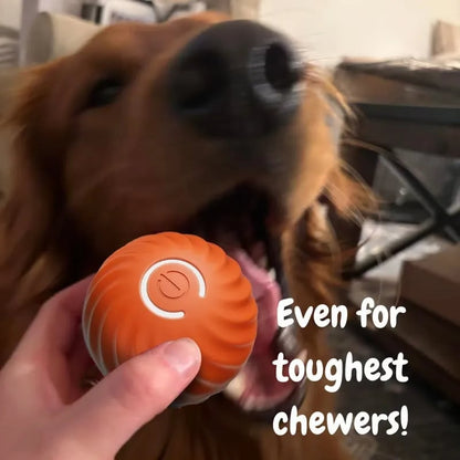 Smart Interactive Bouncing Ball