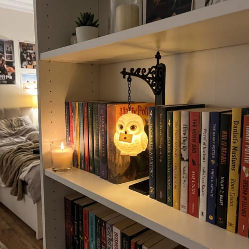 ✨📖Enchanted Hanging Animal Bookshelf Light – Glowing Book Nook Decor for Readers