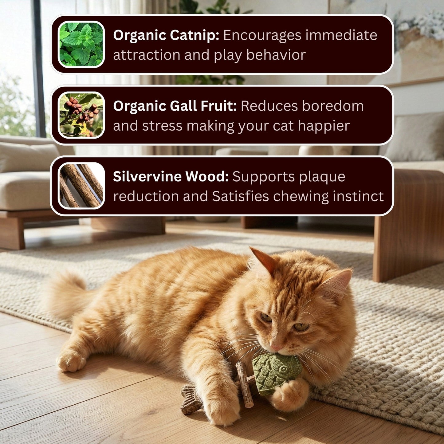 🐱Catnip & Silvervine Chew