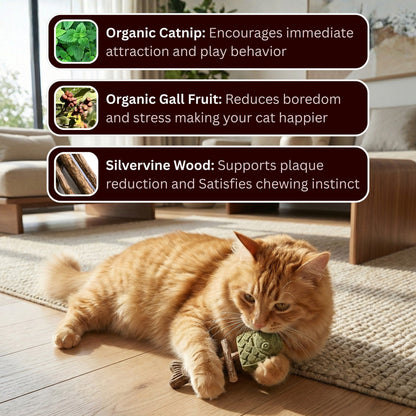 🐱Catnip & Silvervine Chew