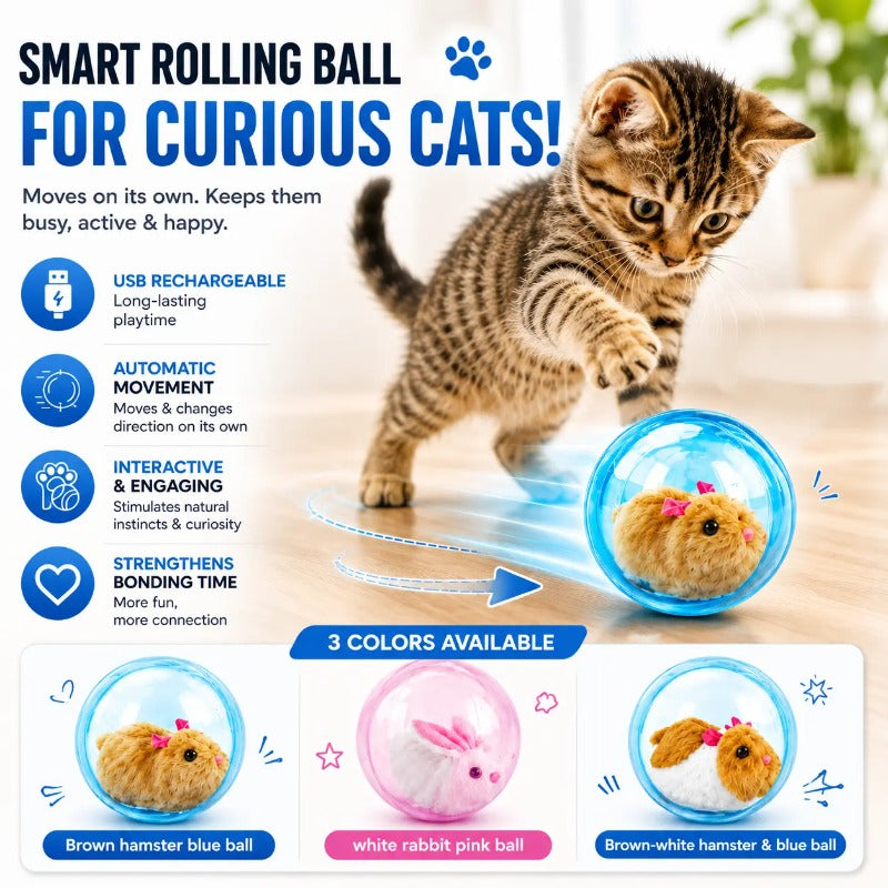 Self-Rolling Interactive Cat Ball – tyiiplus.co.uk