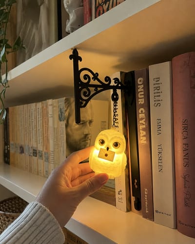 ✨📖Enchanted Hanging Animal Bookshelf Light – Glowing Book Nook Decor for Readers