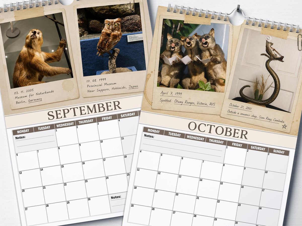 😂Bad Taxidermy Calendar 2027 – Funny & Bizarre Animal Specimens