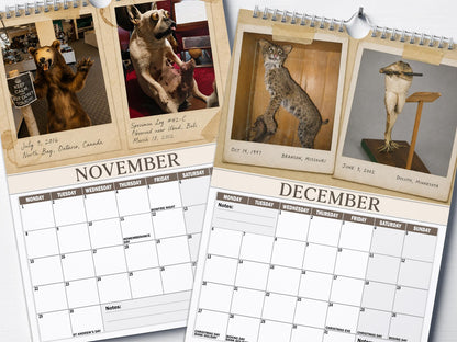 😂Bad Taxidermy Calendar 2027 – Funny & Bizarre Animal Specimens