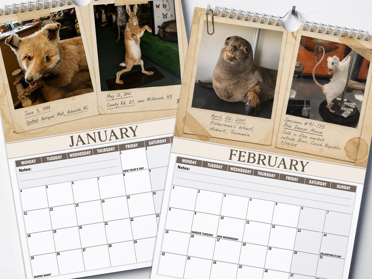 😂Bad Taxidermy Calendar 2027 – Funny & Bizarre Animal Specimens