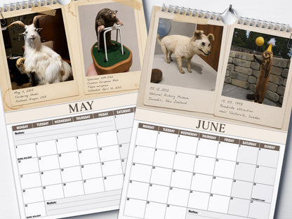 😂Bad Taxidermy Calendar 2027 – Funny & Bizarre Animal Specimens