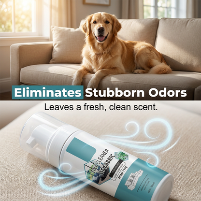 🧼 Lift Stains Instantly! No-Rinse Quick-Dry Fabric Foam Cleaner‑Portable Upholstery Stain Remover for Sofa, Carpet & Fabric Cushions